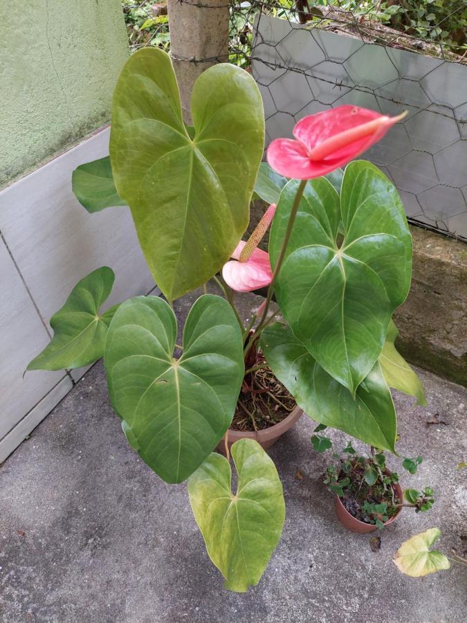 Casa Canto Verde Visconde De Maua Zewnętrze zdjęcie